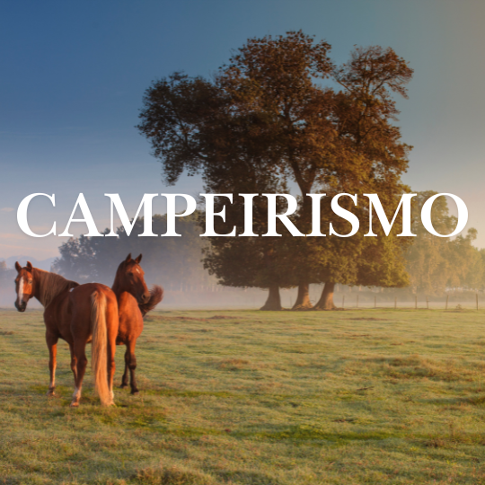 Banner programa Campeirismo